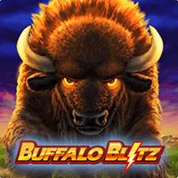 Buffalo Blitz